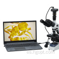 2048*1536 CMOS Cámara digital 3.1MP para microscopio